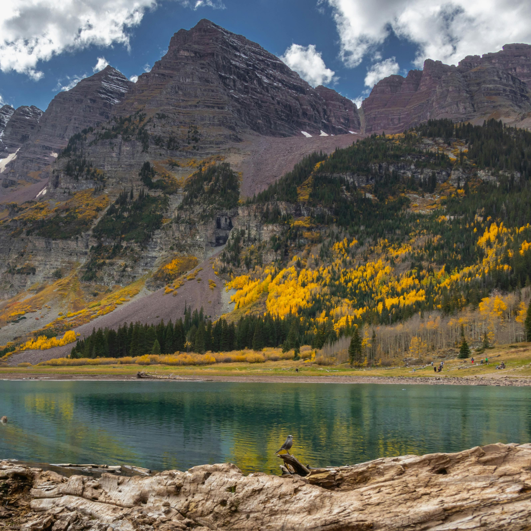 aspen image