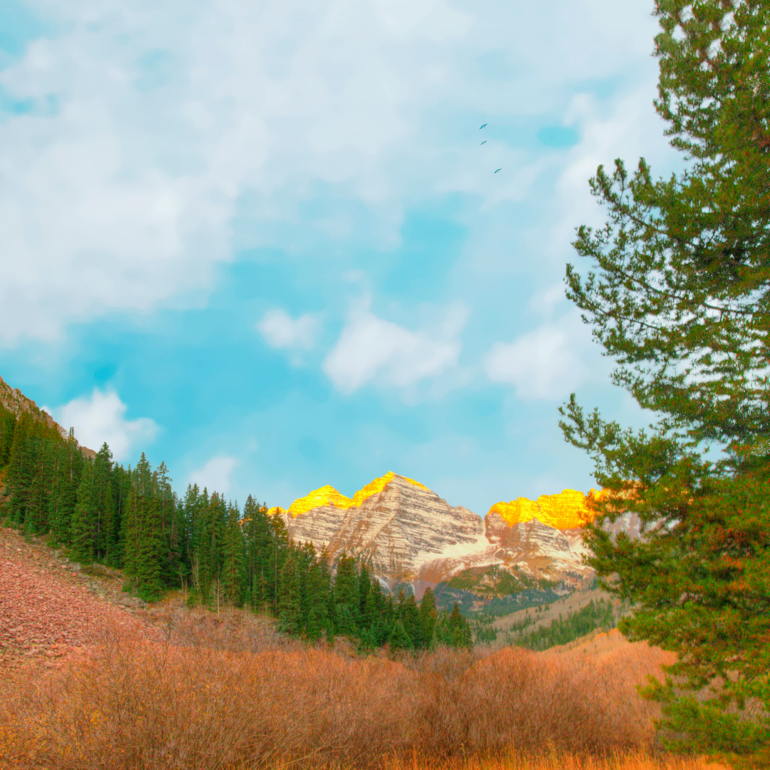 pitkin co
